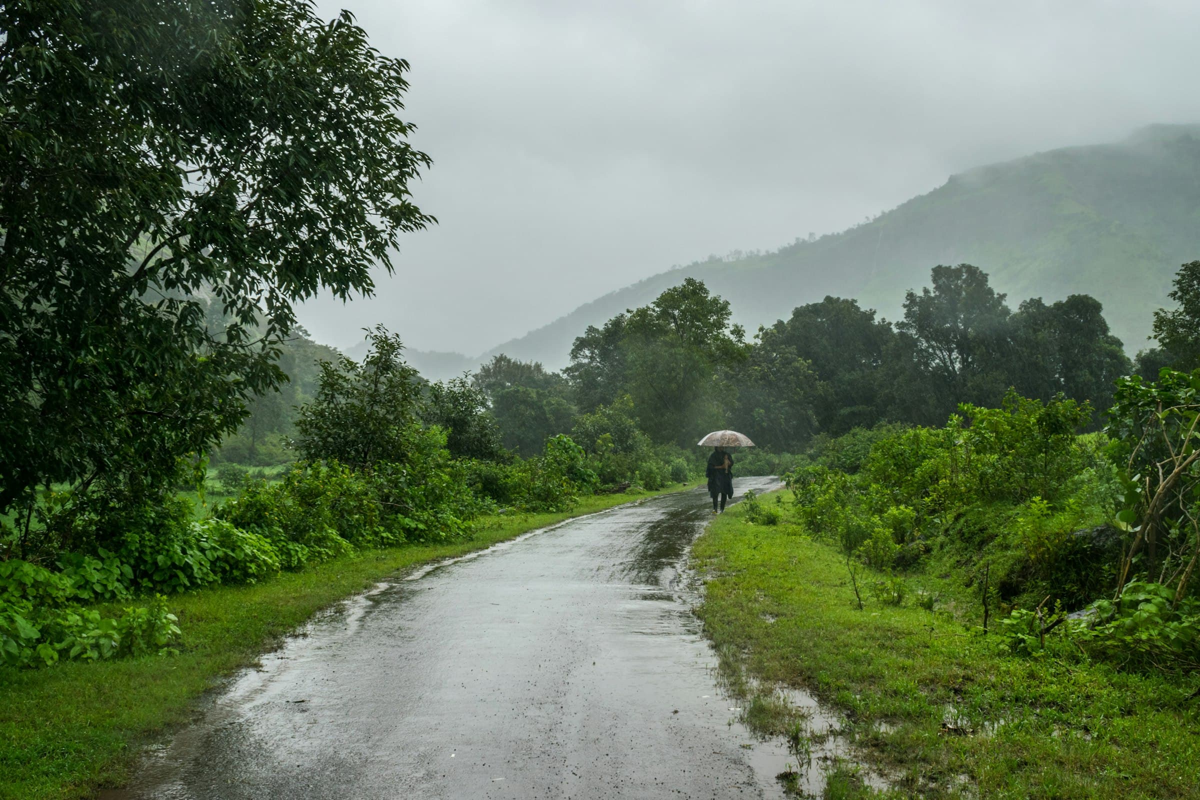 A wet country road in the rain, hills in mist